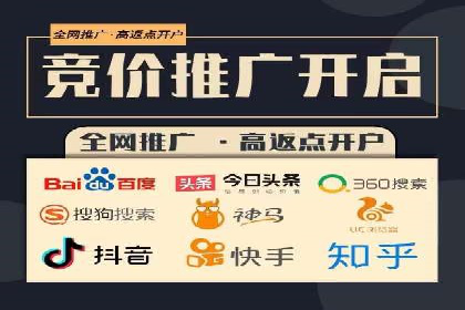 百度推广策略揭秘：某行业领头羊的成功经验